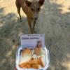1 Dog Food Plate