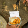 1 Dog Food Plate