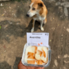 1 Dog Food Plate