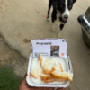 1 Dog Food Plate
