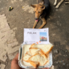 1 Dog Food Plate